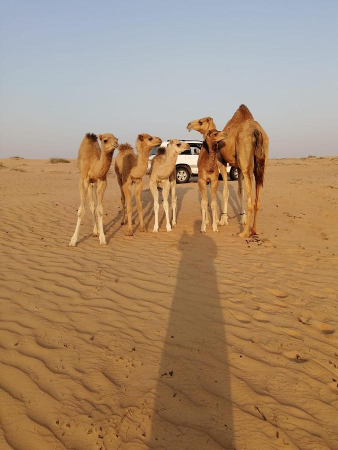 Golden Palm Oasis Hotel Fulayj al Masha'ikh Luaran gambar