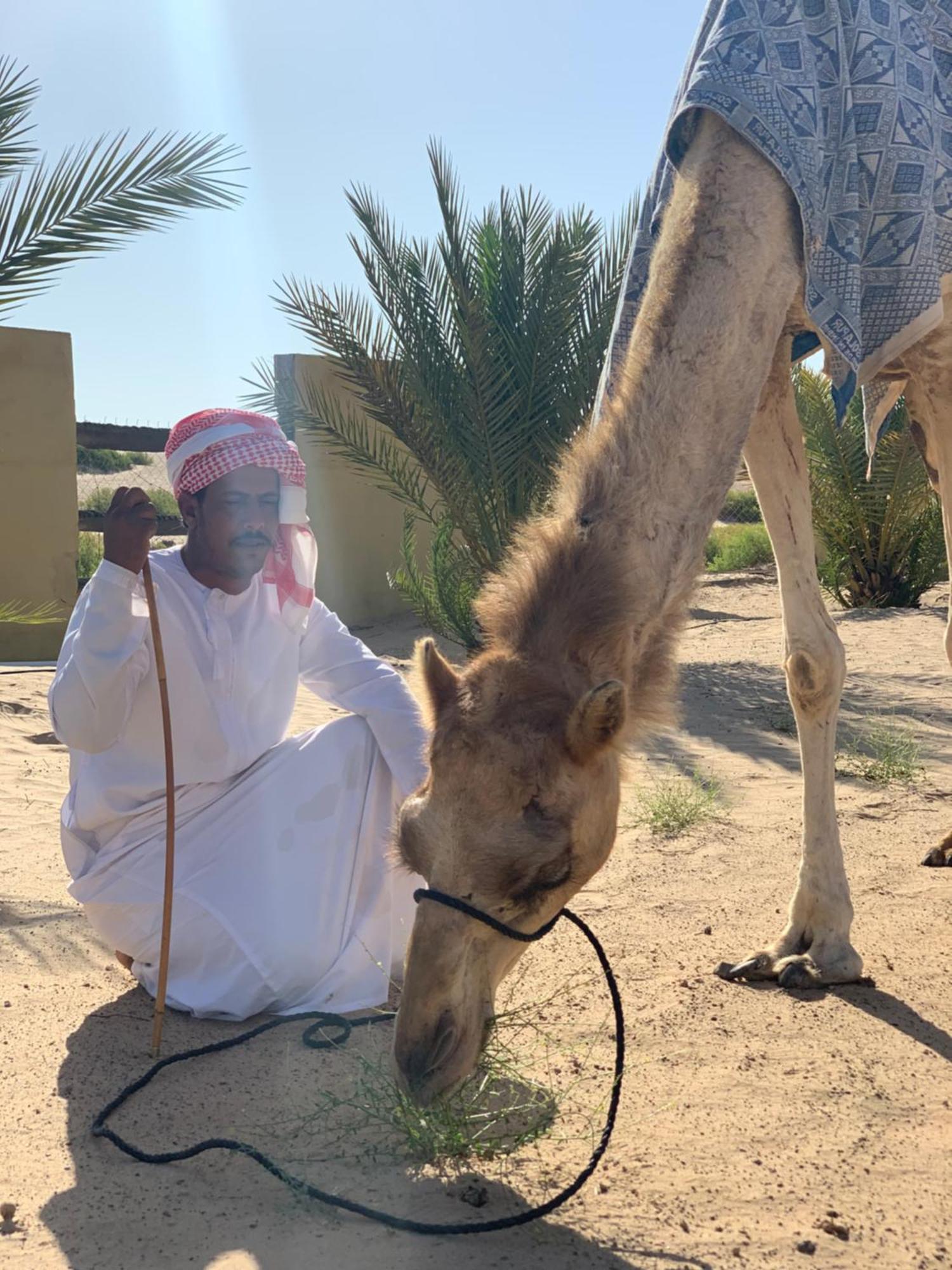 Golden Palm Oasis Hotel Fulayj al Masha'ikh Luaran gambar