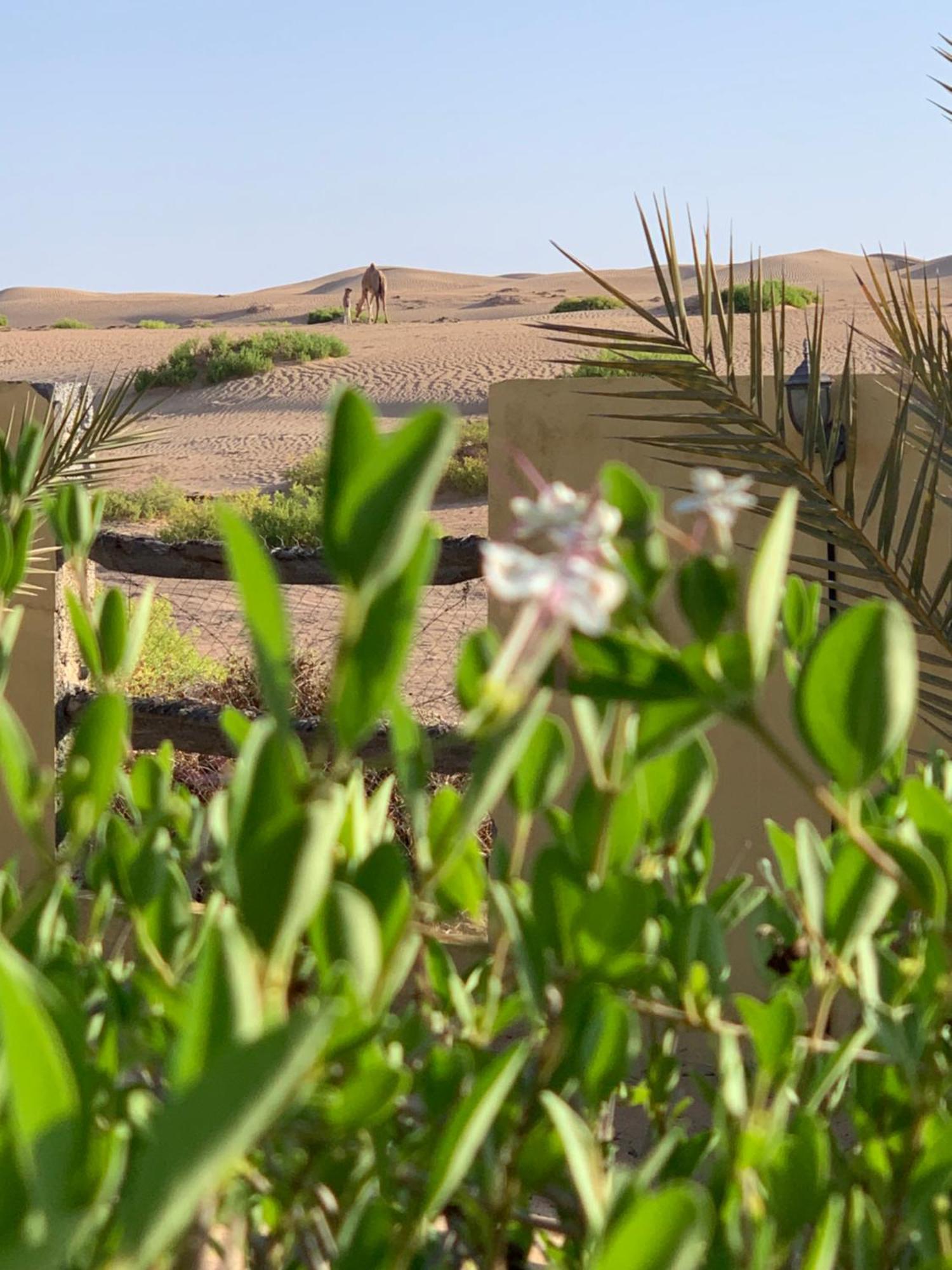 Golden Palm Oasis Hotel Fulayj al Masha'ikh Luaran gambar