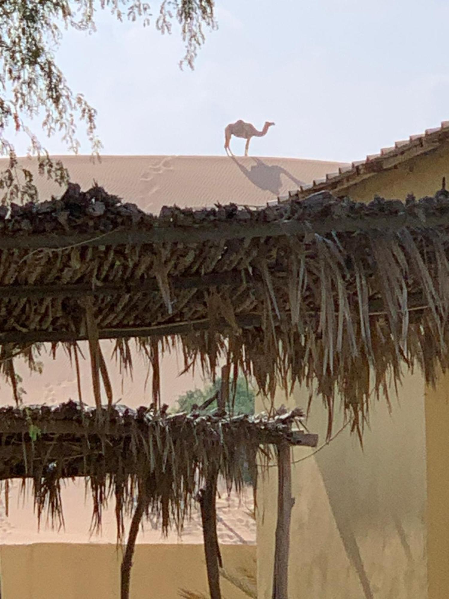 Golden Palm Oasis Hotel Fulayj al Masha'ikh Luaran gambar